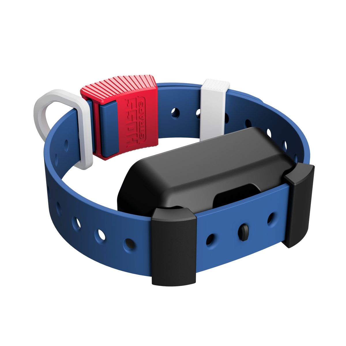 Training Collar Setup Hoss Straps blue hunting dog collar with red buckle on Tampa Home & Garden Store