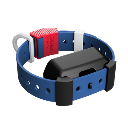 Training Collar Setup Hoss Straps blue hunting dog collar with red buckle on Tampa Home & Garden Store