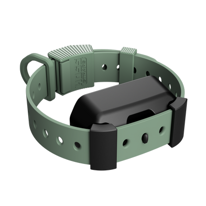 Training Collar Setup by Hoss Straps olive green hunting dog collar with ribbed sliders on Tampa Home & Garden Store