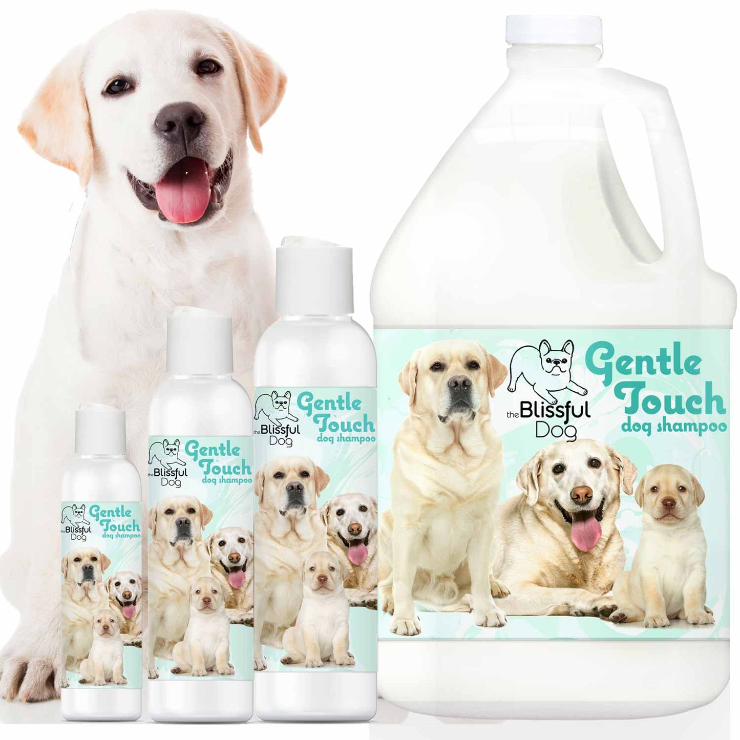 Gentle Touch Dog Shampoo & Soap - Tampa Home & Garden Store