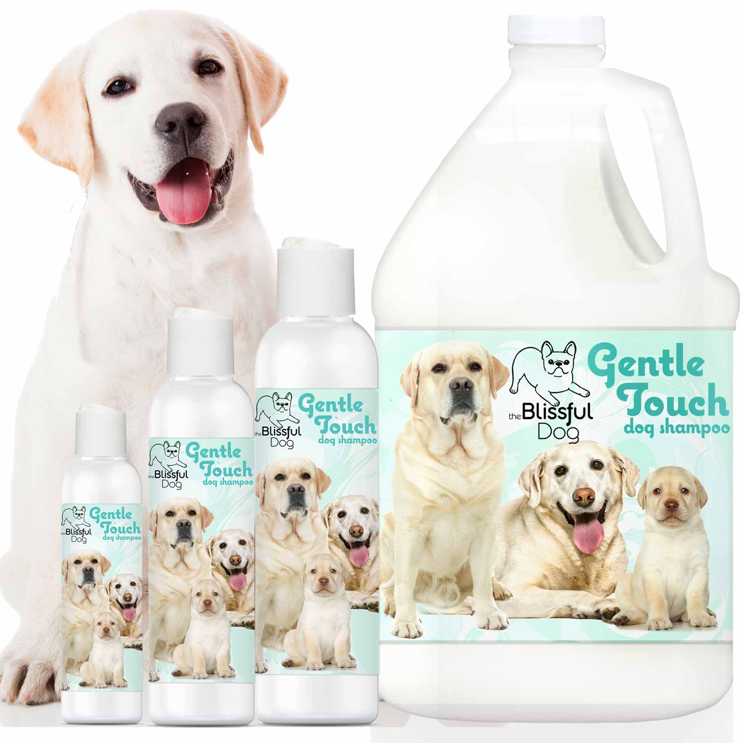 Gentle Touch Dog Shampoo & Soap - Tampa Home & Garden Store