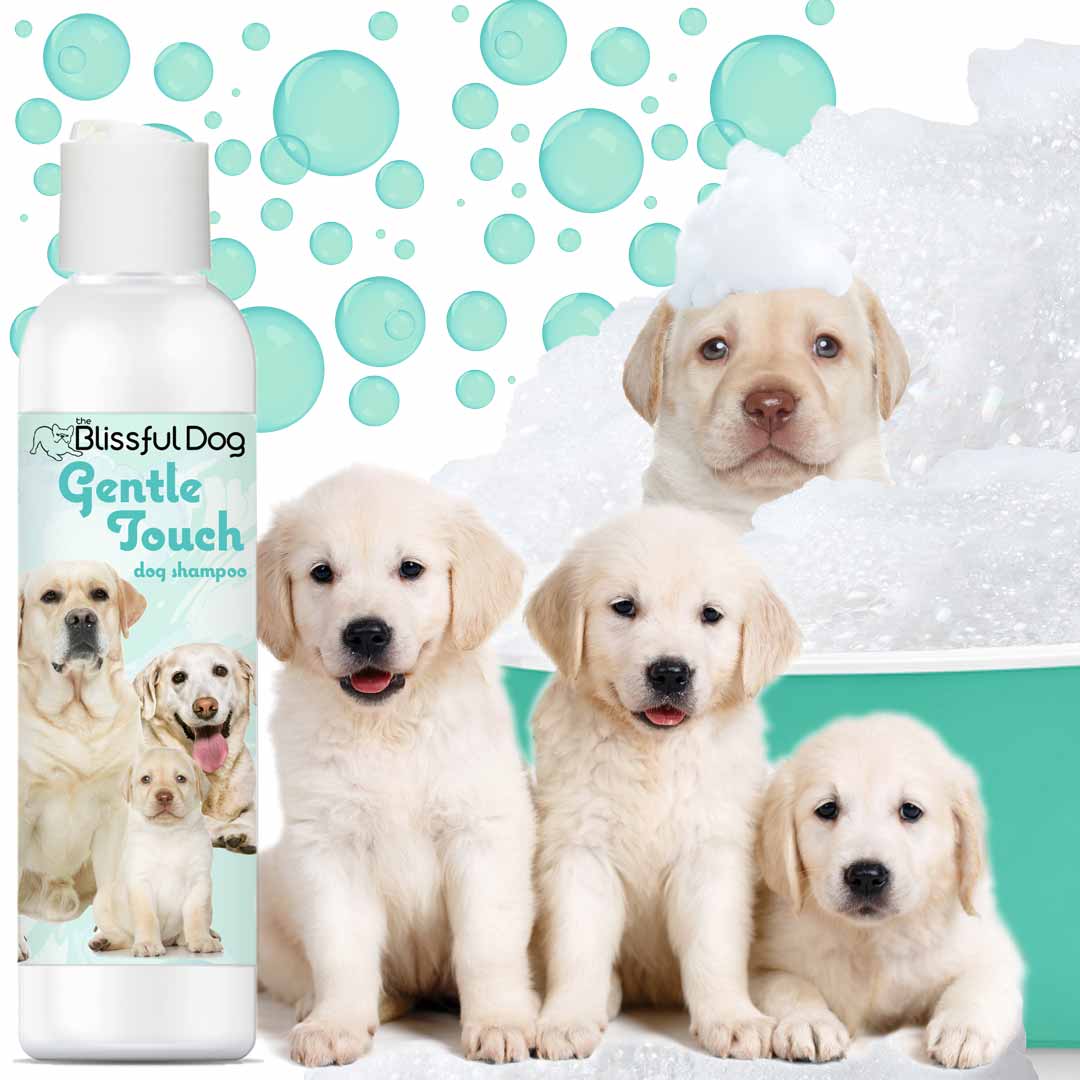 Gentle Touch Dog Shampoo & Soap - Tampa Home & Garden Store