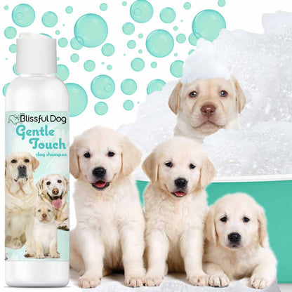 Gentle Touch Dog Shampoo & Soap - Tampa Home & Garden Store