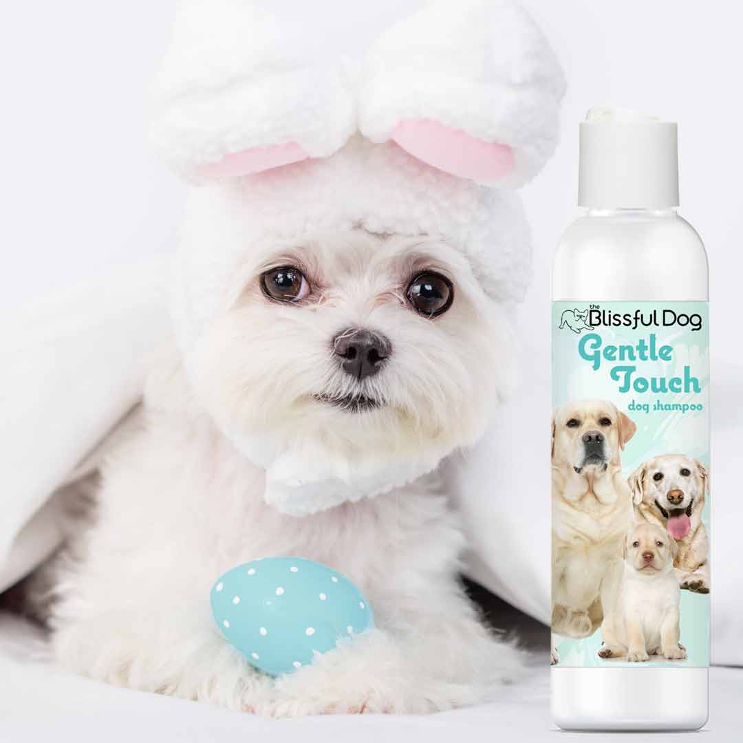 Gentle Touch Dog Shampoo & Soap - Tampa Home & Garden Store