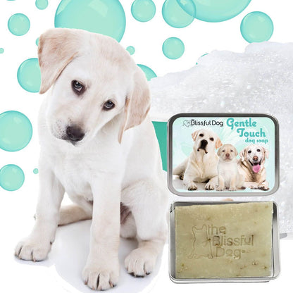 Gentle Touch Dog Shampoo & Soap - Tampa Home & Garden Store