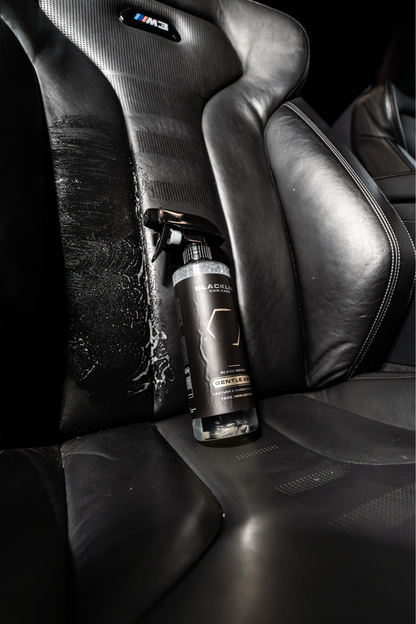 BLACKLINE Gentle APC all purpose cleaner spray bottle on black leather car seats on Tampa Home & Garden Store