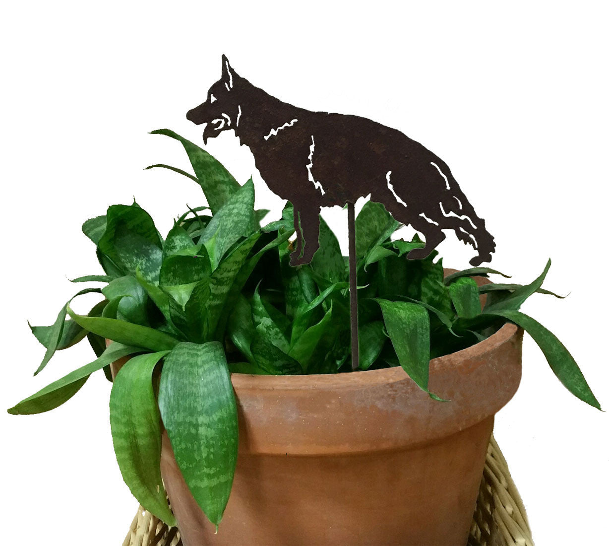 German Shepherd plant stake in metal by Rustica Ornamentals with green leaves in a pot on Tampa Home & Garden Store
