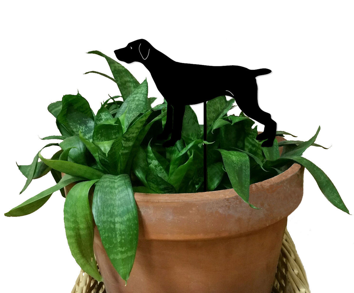 German Shorthaired Pointer Plant Stake black silhouette in terracotta pot with green plant on Tampa Home & Garden Store