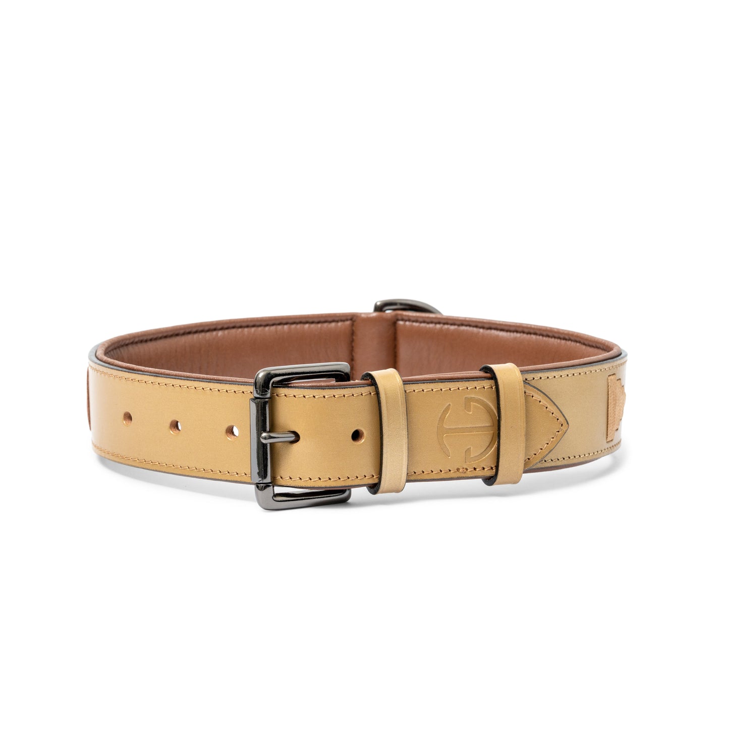 Gilded Solstice Leather Dog Collar by Halter Ego® in tan leather with black buckle hardware on Tampa Home & Garden Store