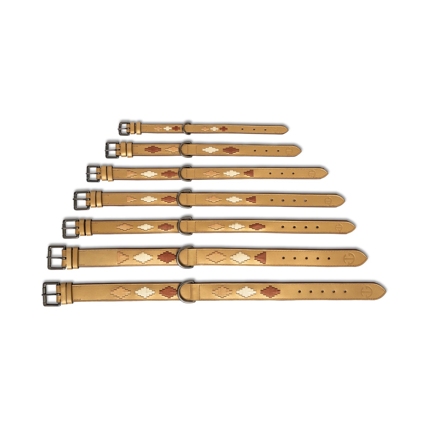 Gilded Solstice leather dog collar set by Halter Ego in tan stacked display for pet collars on Tampa Home & Garden Store