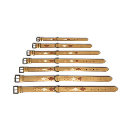 Gilded Solstice leather dog collar set by Halter Ego in tan stacked display for pet collars on Tampa Home & Garden Store
