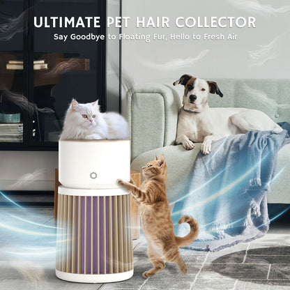 Glory Days AGH400 Pet Air Purifier - Tampa Home & Garden Store