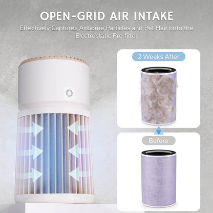 Glory Days AGH400 Pet Air Purifier - Tampa Home & Garden Store