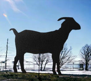Metal goat yard art by Rustica Ornamentals, black powder-coated metal lawn ornament on Tampa Home & Garden Store
