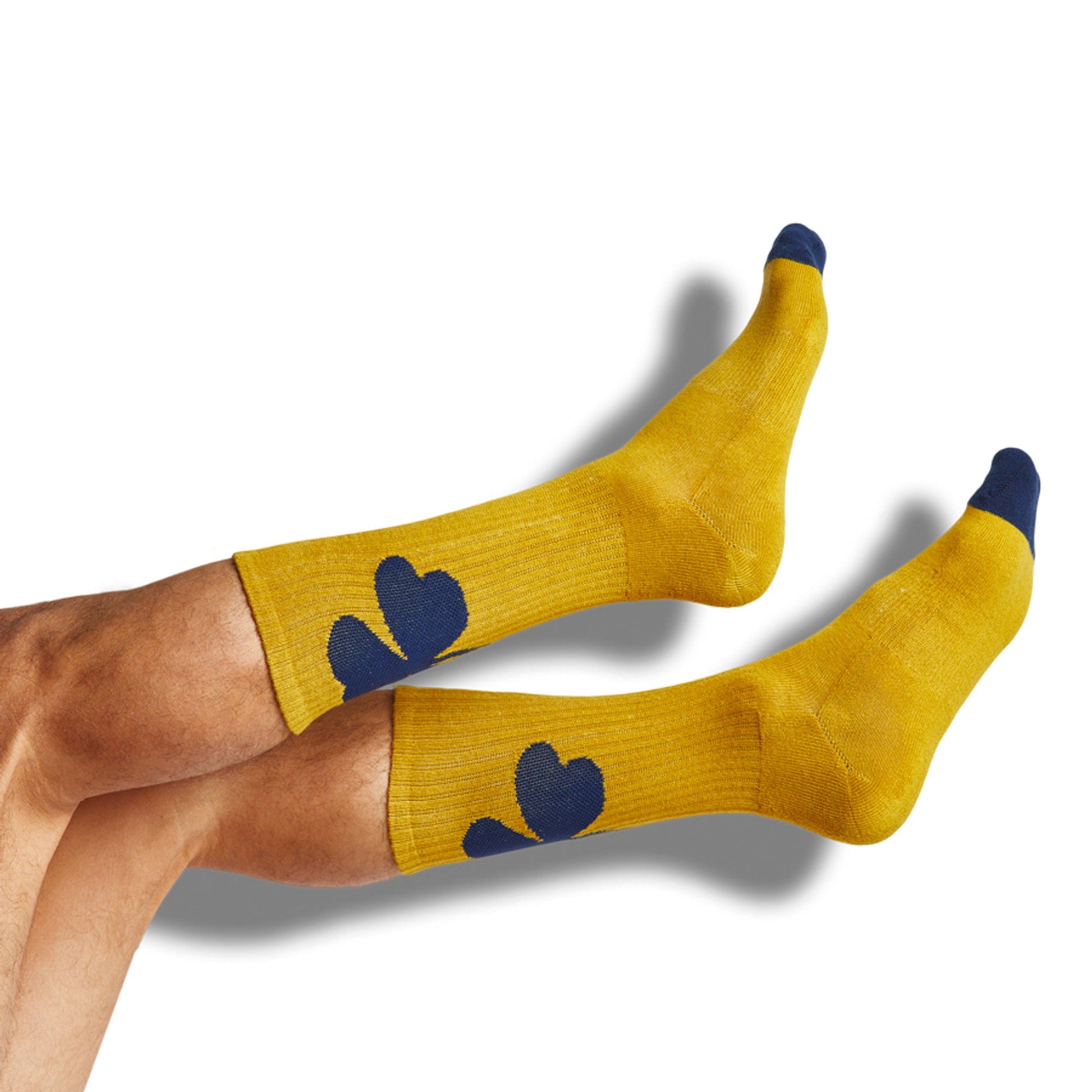 DeadSoxy Navy Gold Casual Socks 4 Pack yellow base with blue toe caps and paw print accents on Tampa Home & Garden Store