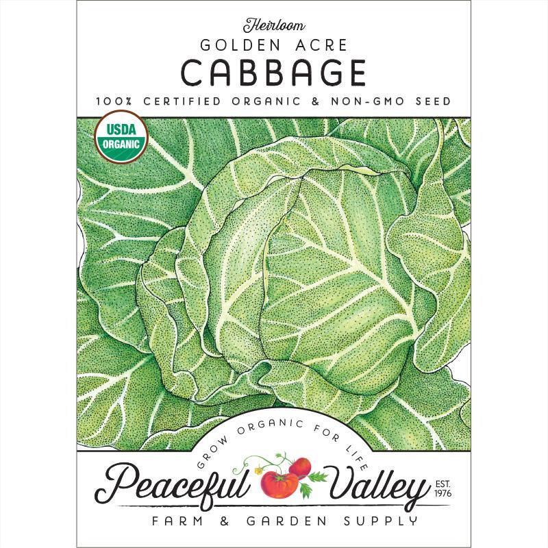 Golden Acre Cabbage Seeds (Organic) - Tampa Home & Garden Store