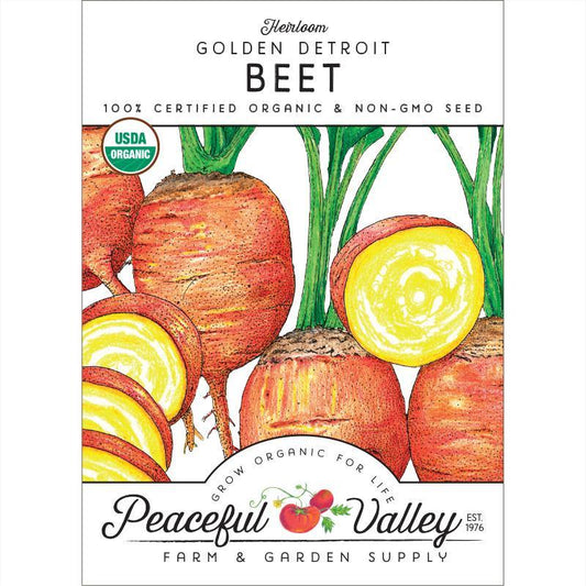 Golden Detroit Beet Seeds (Organic) - Tampa Home & Garden Store