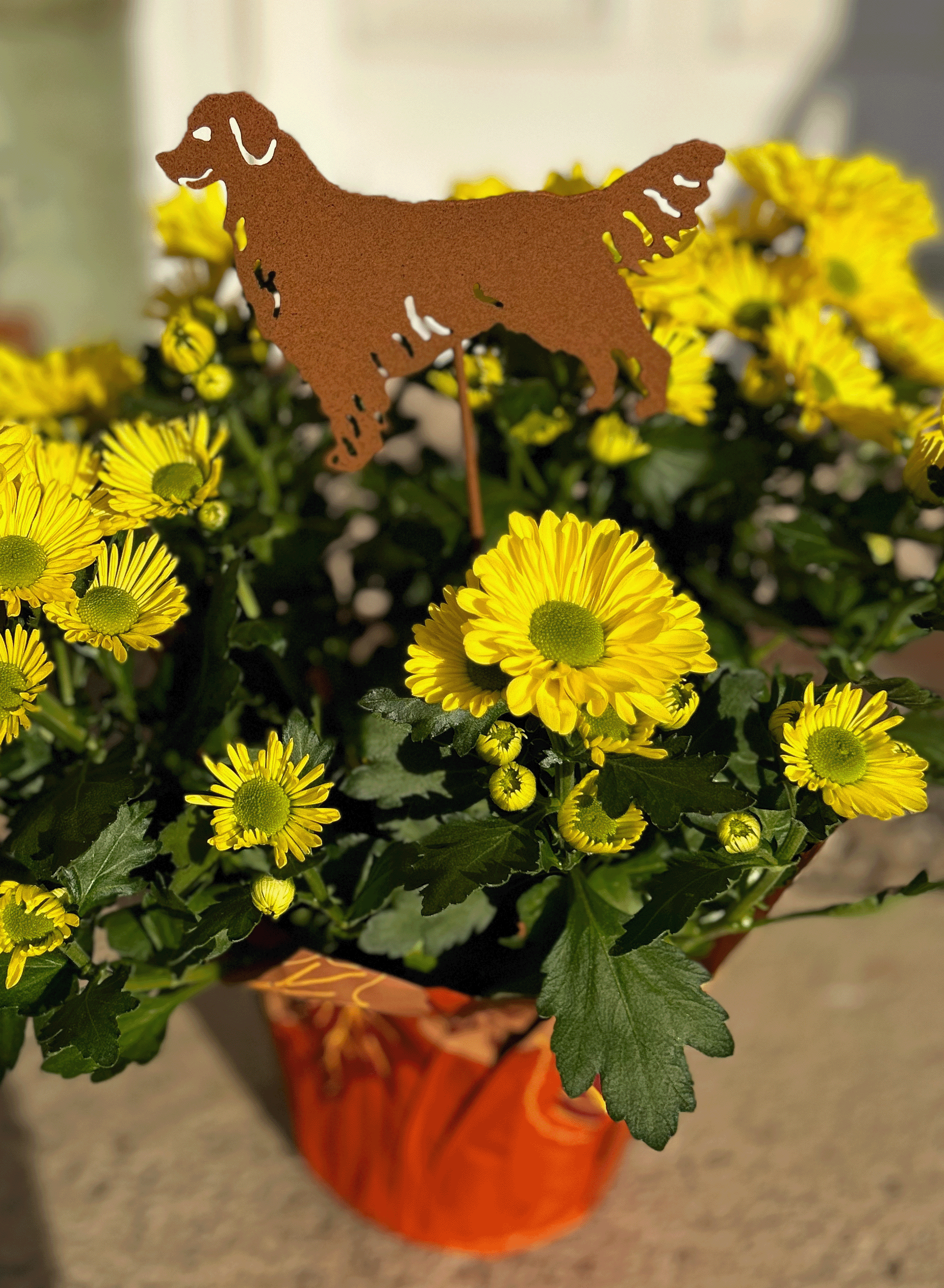 Golden Retriever Plant Stake rust metal silhouette in yellow flowers Rustica Ornamentals on Tampa Home & Garden Store