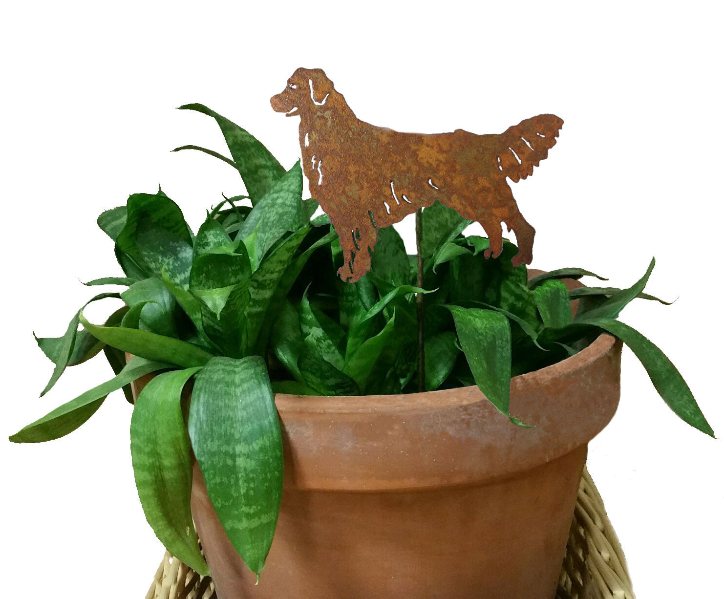 Golden Retriever plant stake, rusted metal silhouette, in a terracotta pot for home and garden on Tampa Home & Garden Store