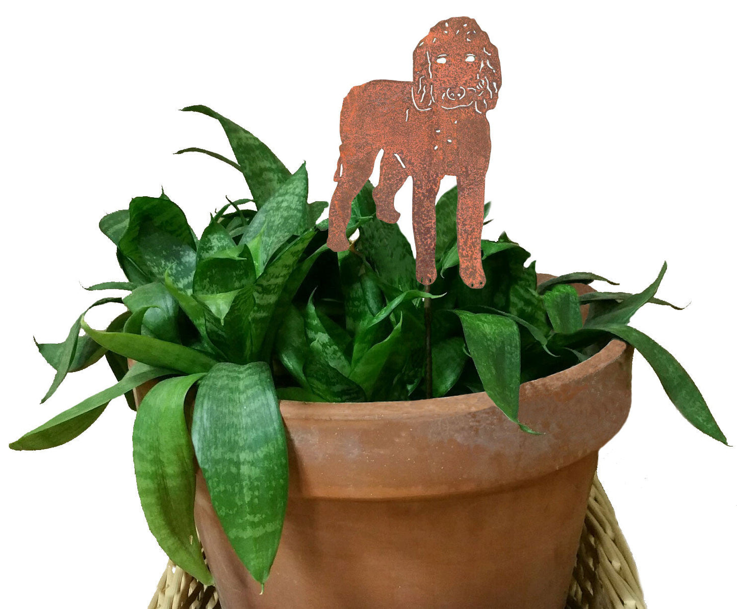 Goldendoodle Plant Stake rust-colored metal silhouette by Rustica Ornamentals in a pot on Tampa Home & Garden Store