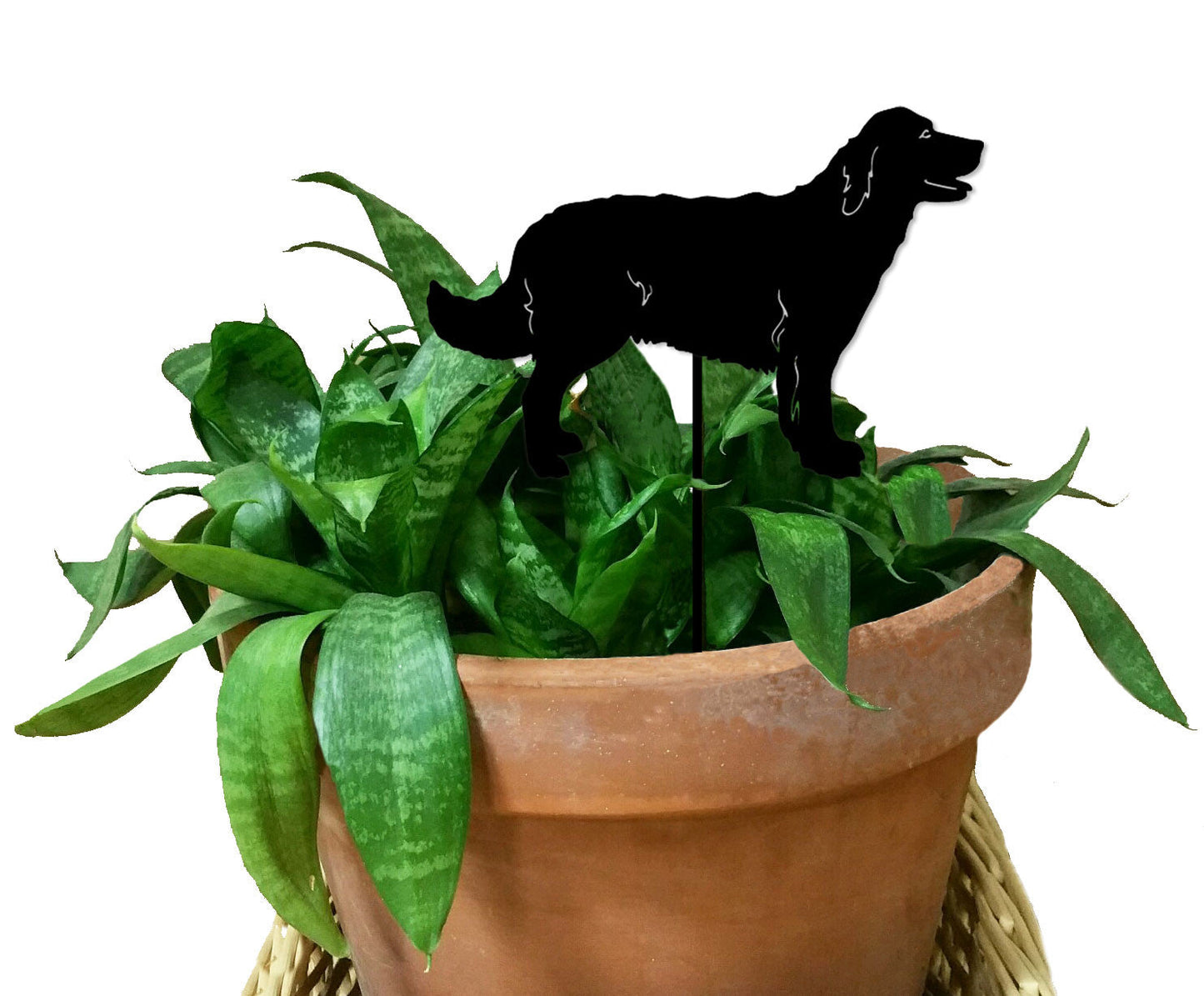 Golden Retriever plant stake Style 2 black silhouette atop a green plant in a terracotta pot on Tampa Home & Garden Store