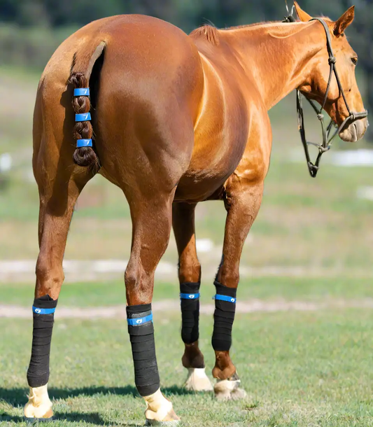 TailCinch Equine Tail Ties set of 3 blue tail ties securing a braided horse tail on Tampa Home & Garden Store