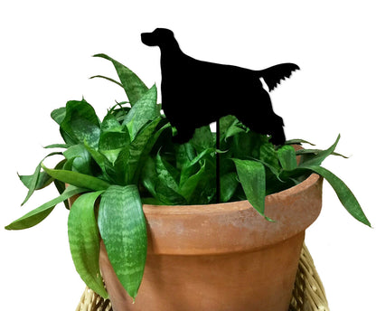 Gordon Setter plant stake in black on a green leafy plant in a terracotta pot on Tampa Home & Garden Store