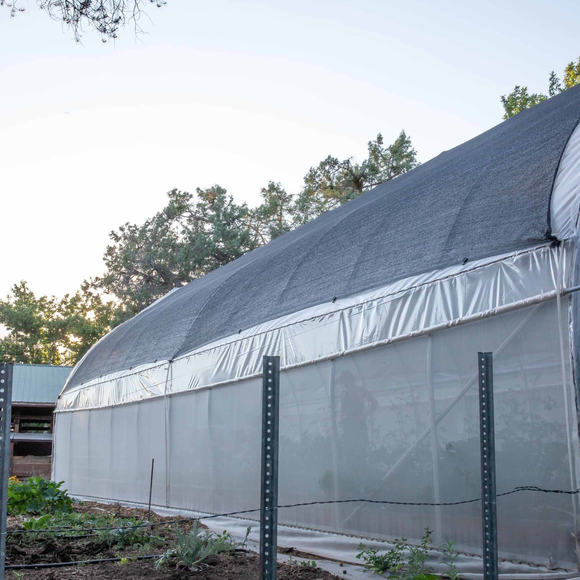 Gothic Style Greenhouse | Gothic Greenhouse Kits High Tunnel - Tampa soil911.com