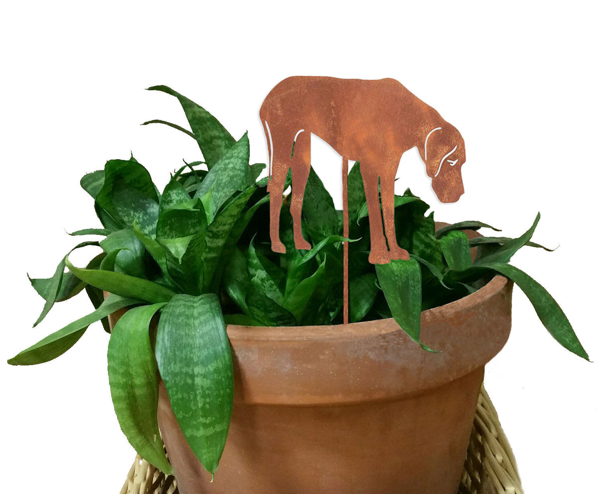 Great Dane plant stake Rustica Ornamentals, rusty metal dog silhouette in terracotta pot on Tampa Home & Garden Store