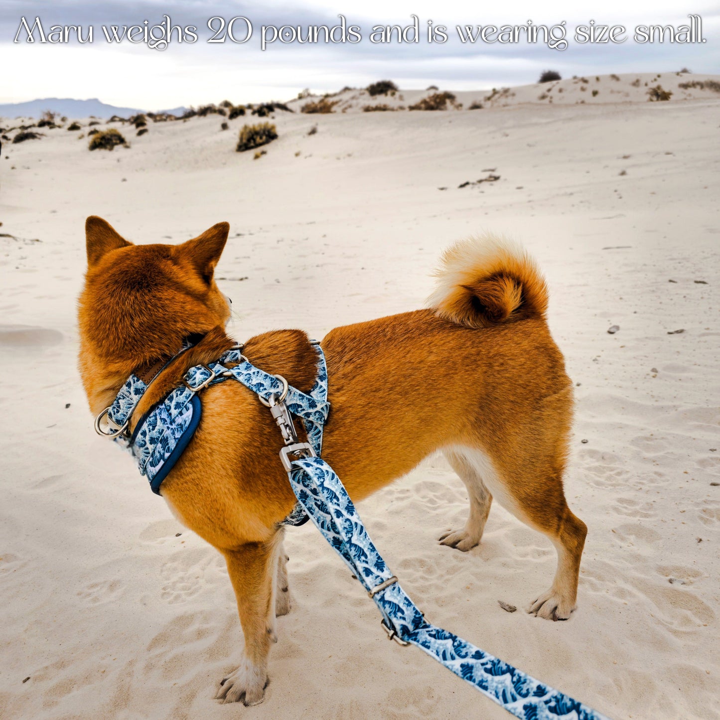 Great Wave Collar - Tampa Home & Garden Store