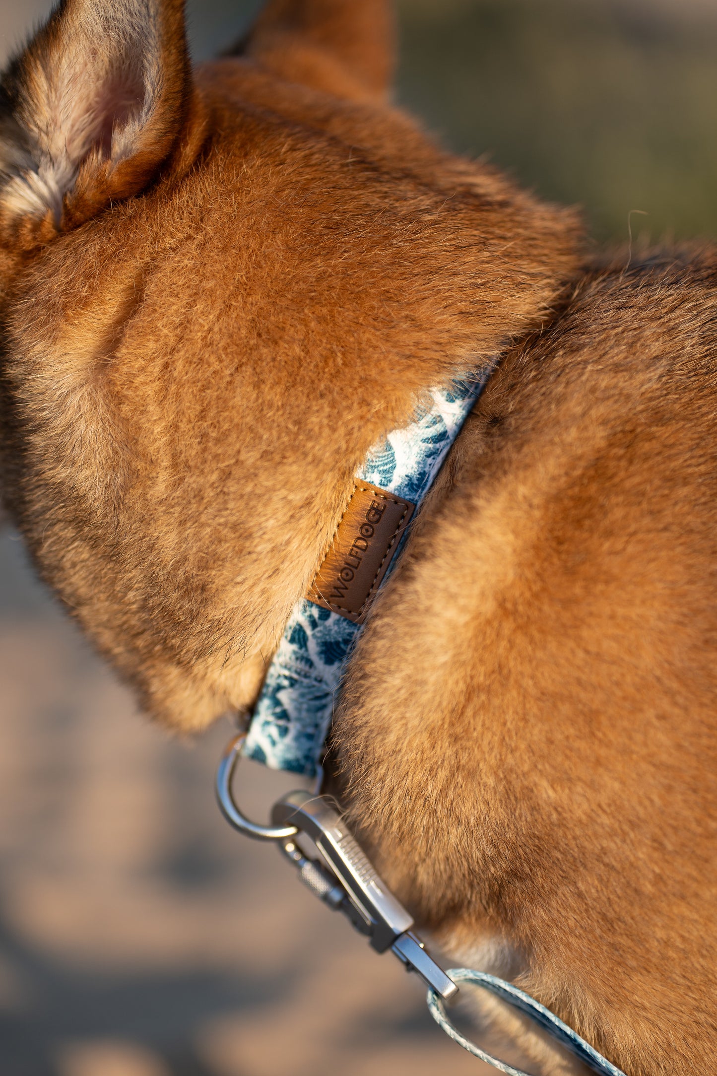 Great Wave Collar - Tampa Home & Garden Store