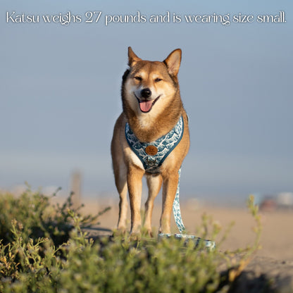 Great Wave Harness - Tampa Home & Garden Store