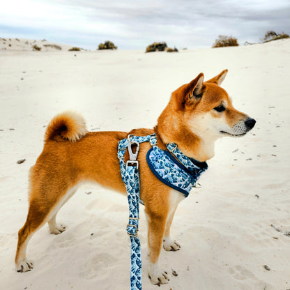Great Wave Leash - Tampa Home & Garden Store