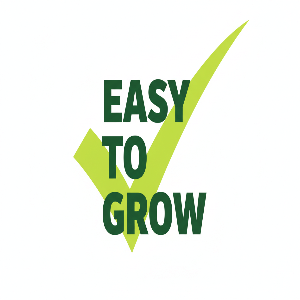 Green Beans Grow Kit - Tampa Home & Garden Store