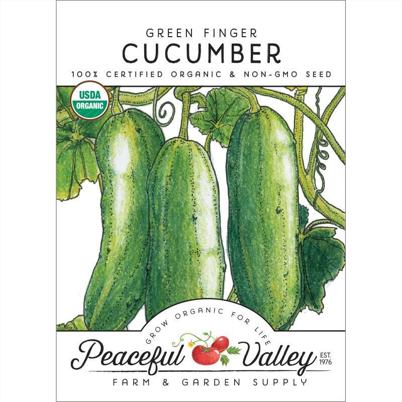 Green Finger Cucumber Seeds (Organic) - Tampa Home & Garden Store