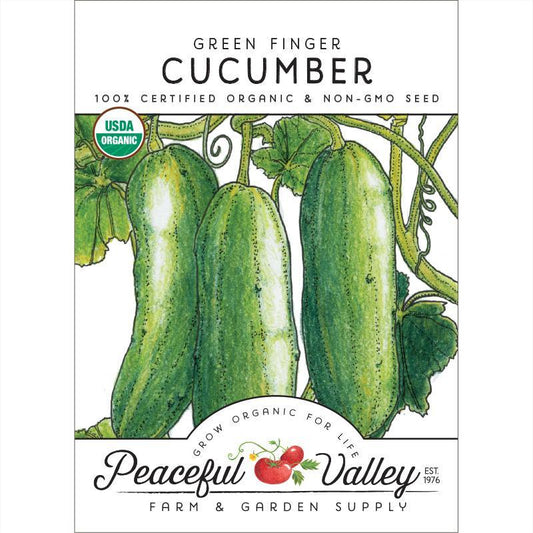Green Finger Cucumber Seeds (Organic) - Tampa Home & Garden Store
