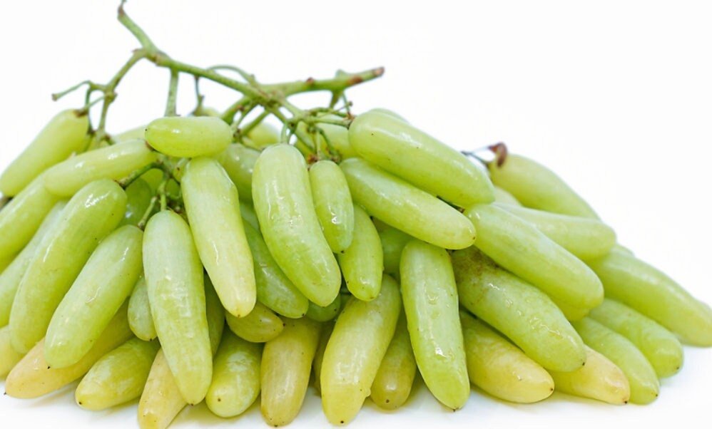 Green Finger Grape Heirloom Seeds - Vitus Vinifera - Non GMO - Tasty Sweet Fruit - Tampa Home & Garden Store