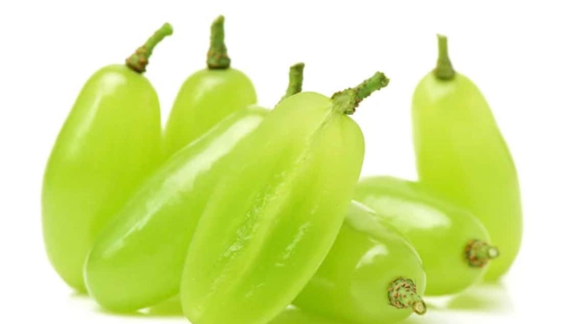 Green Finger Grape Heirloom Seeds - Vitus Vinifera - Non GMO - Tasty Sweet Fruit - Tampa Home & Garden Store