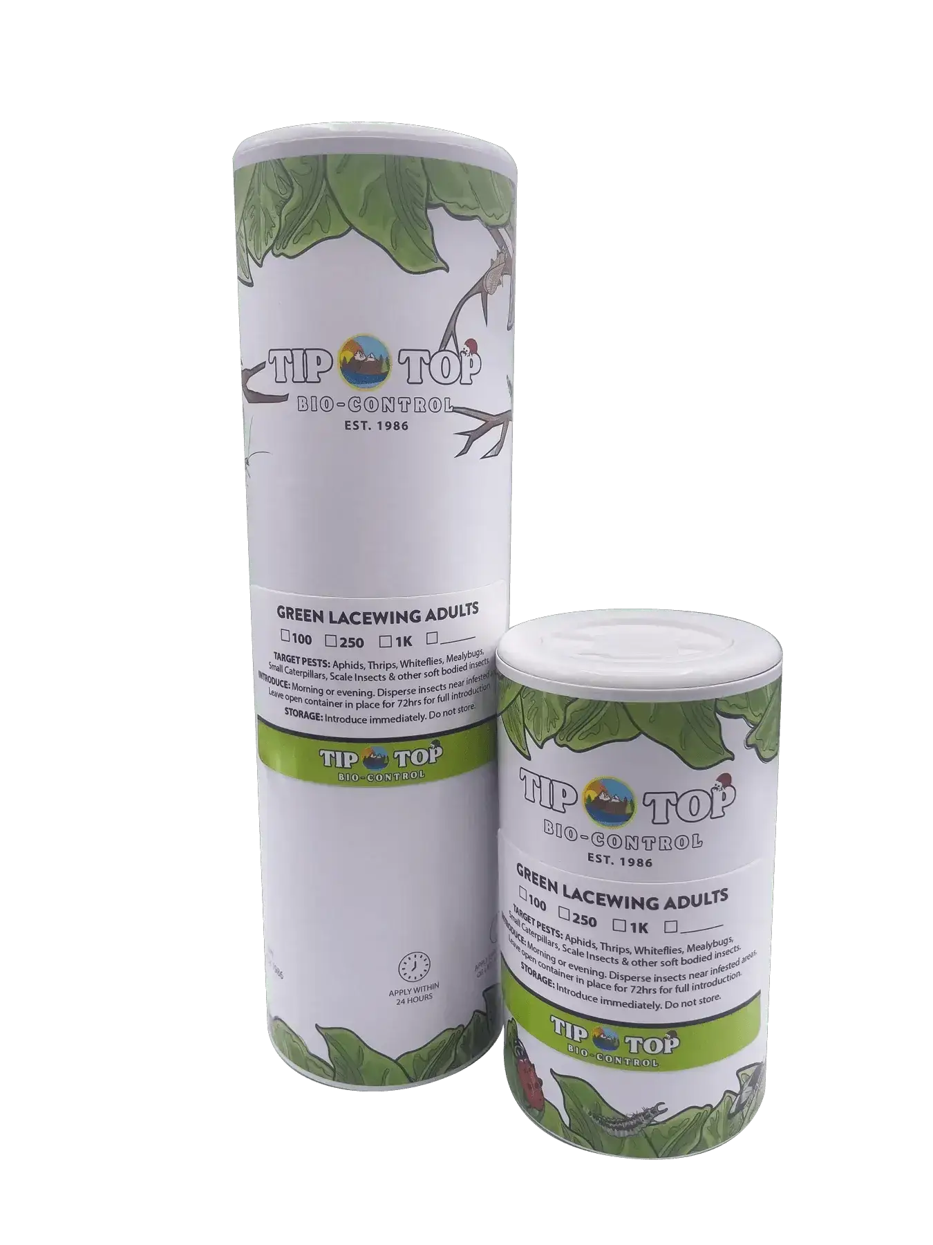 Green Lacewing Adults - Tampa Home & Garden Store