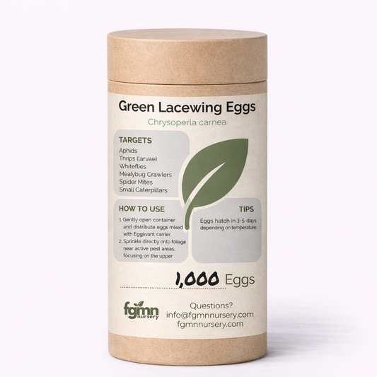 Green Lacewing Eggs - Tampa Home & Garden Store