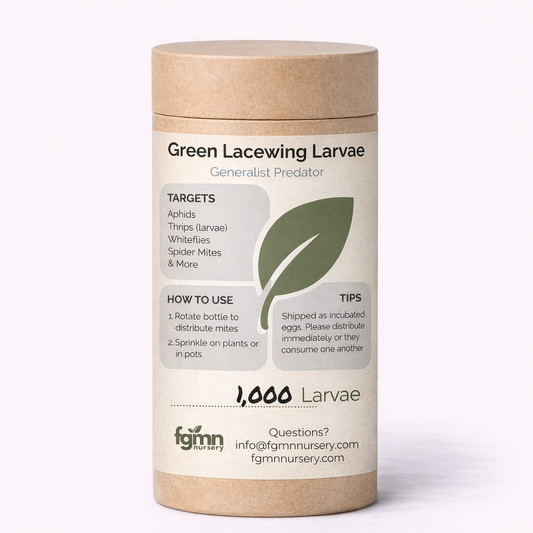 Green Lacewing Larvae - Tampa Home & Garden Store