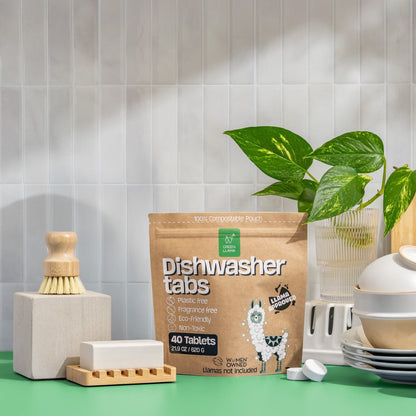 Green Llama Dish Starter Kit - Tampa Home & Garden Store