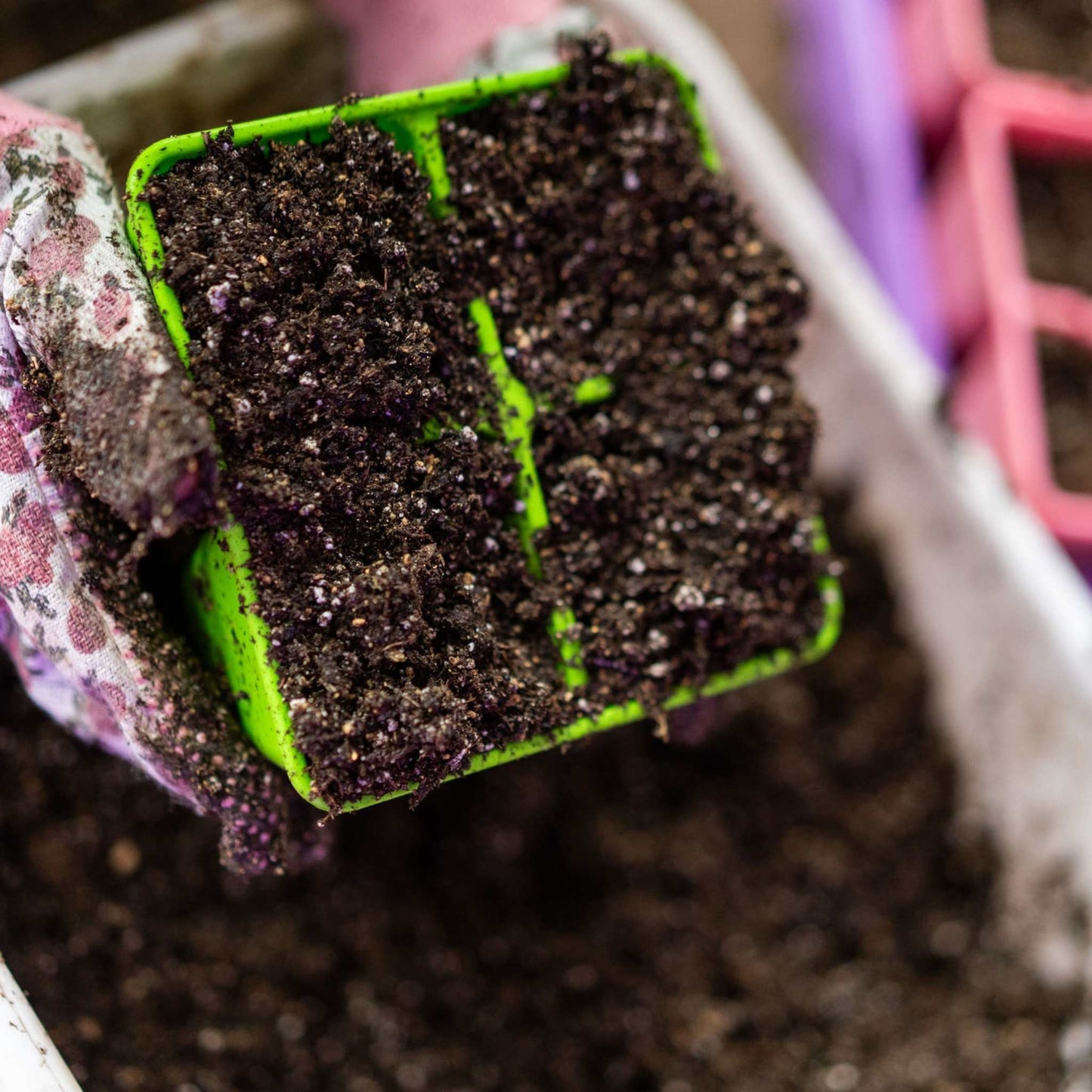 4 Cell Seed Tray Cell Plug Tray