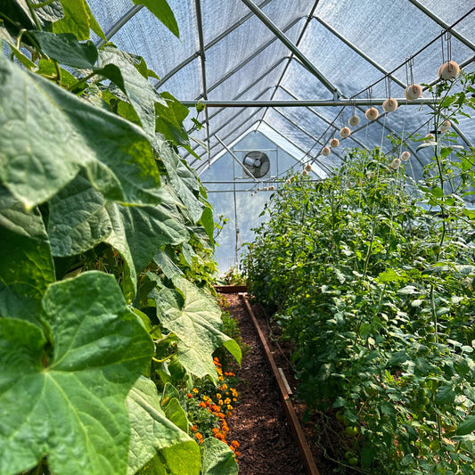 Greenhouse Shutter Mount Exhaust Fans for Hoop House - Tampa Home & Garden Store