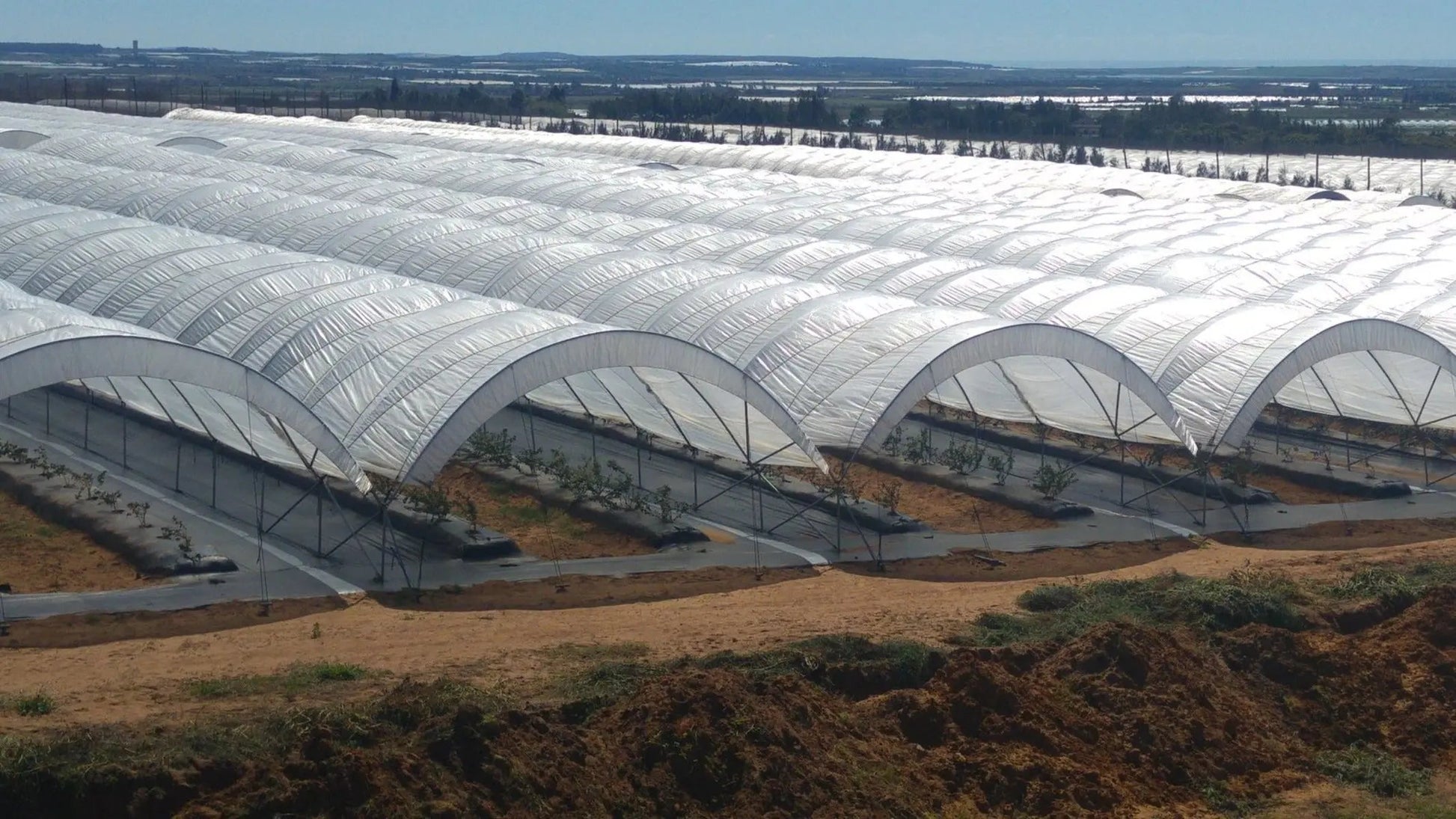 Greenhouse Woven Plastic 11 mil- Solarig 182 - Tampa Home & Garden Store