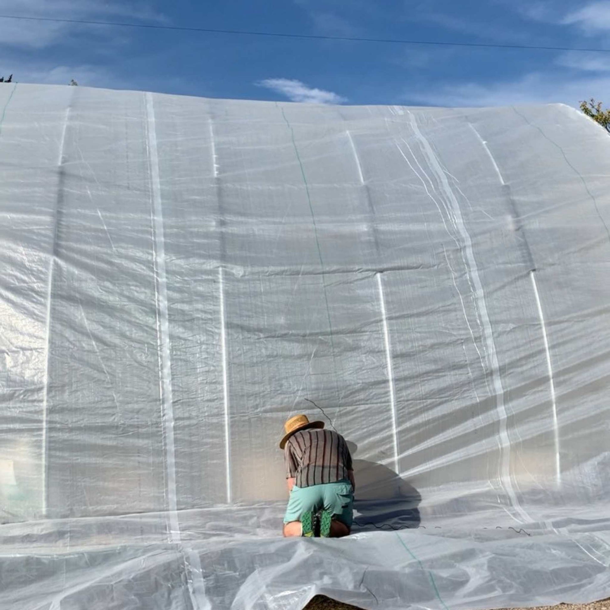 Greenhouse Woven Plastic 8 mil- Solarig 156 - Tampa Home & Garden Store