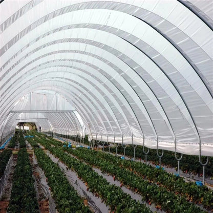 Greenhouse Woven Plastic 8 mil- Solarig 156 - Tampa Home & Garden Store