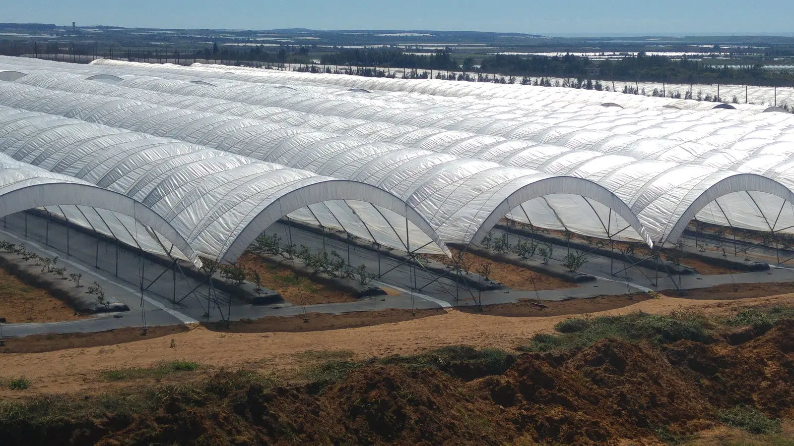 Greenhouse Woven Plastic 8 mil- Solarig 156 - Tampa Home & Garden Store