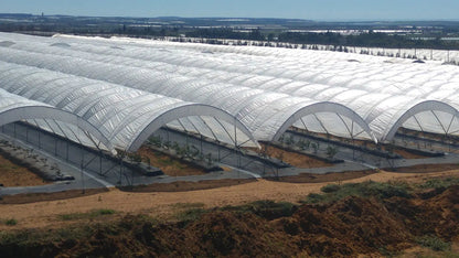 Greenhouse Woven Plastic 8 mil- Solarig 156 - Tampa Home & Garden Store