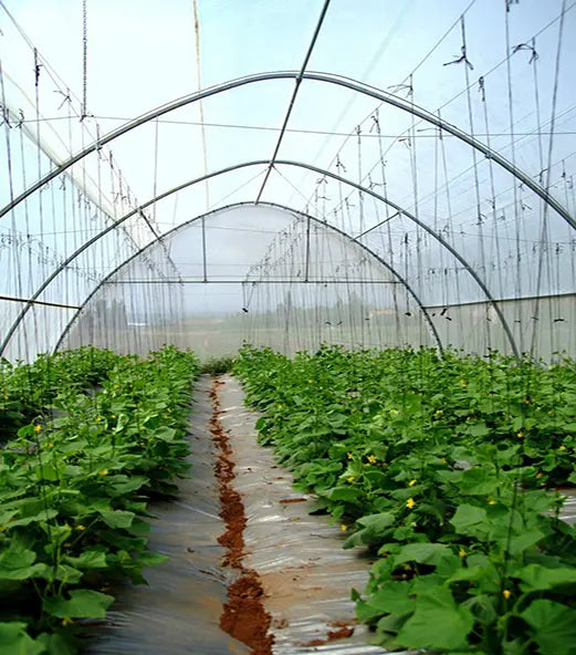 Greenhouse Woven Plastic 8 mil- Solarig 156 - Tampa Home & Garden Store